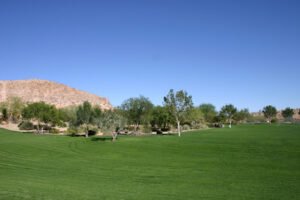 Soccer Field image 1