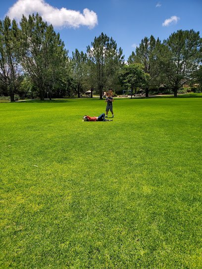 Soccer Field image 1