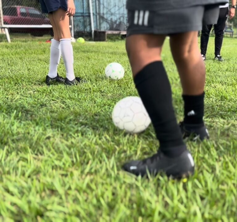 Soccer Field image 4