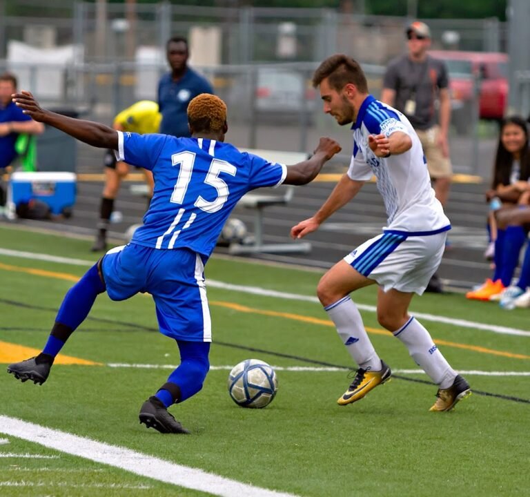 Soccer Field image 2