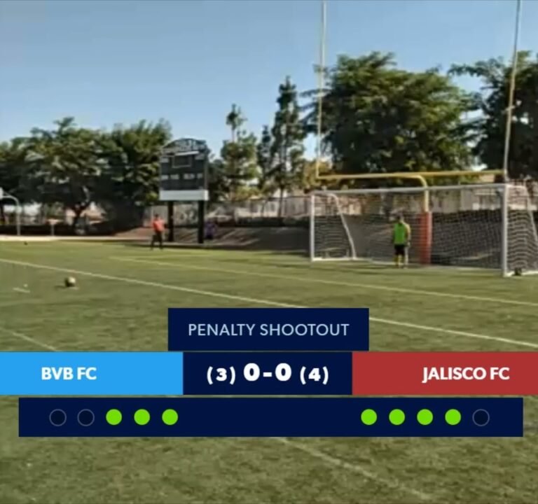 Soccer Field image 4