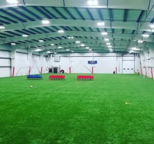 Soccer Field image 2