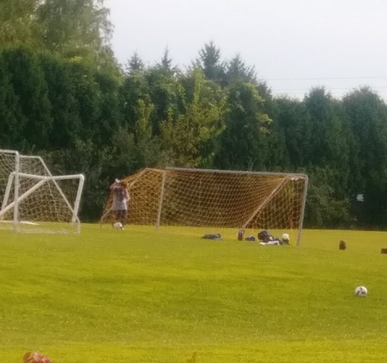 Soccer Field image 3