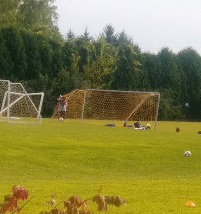 Soccer Field image 1