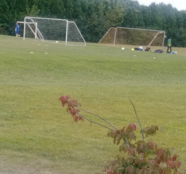 Soccer Field image 2