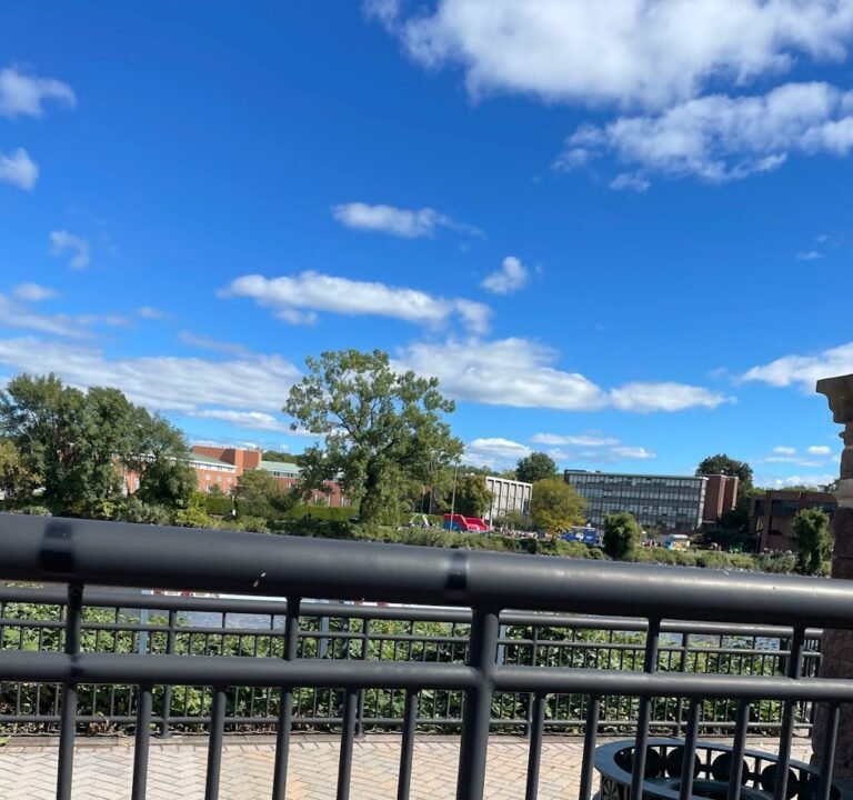 Soccer Field image 2