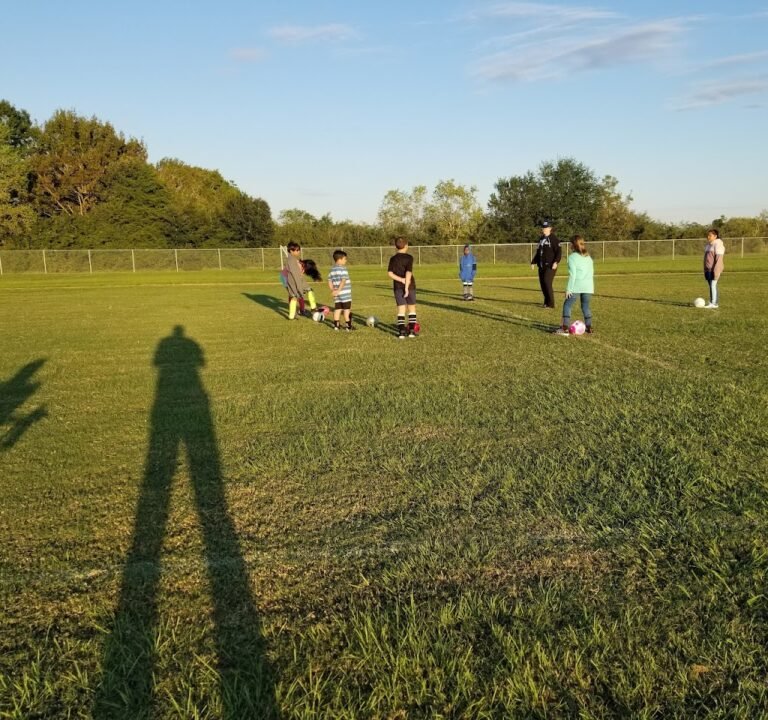 Soccer Field image 2