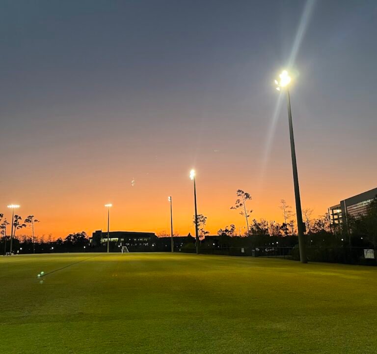 Soccer Field image 2