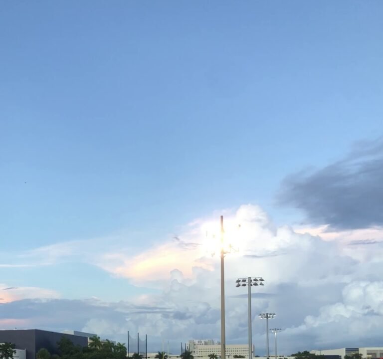 Soccer Field image 4