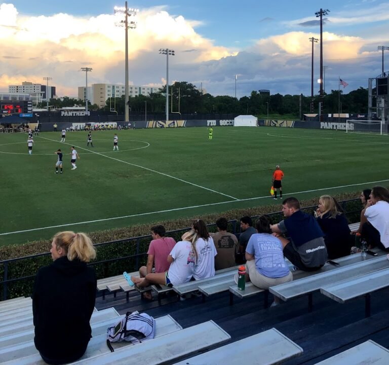Soccer Field image 2