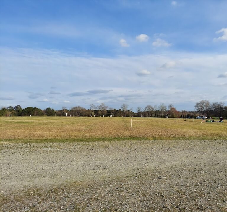 Soccer Field image 2