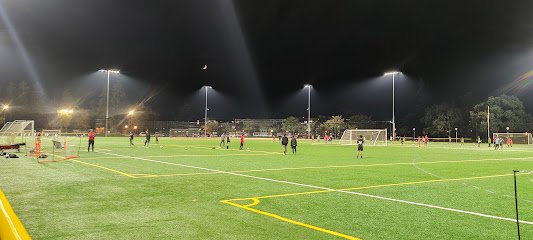 Soccer Field image 1