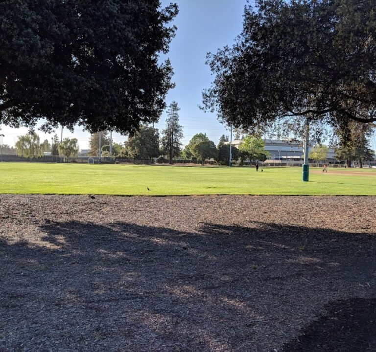 Soccer Field image 2