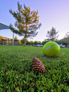 Soccer Field image 1