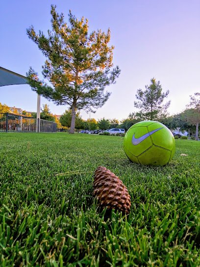 Soccer Field image 1