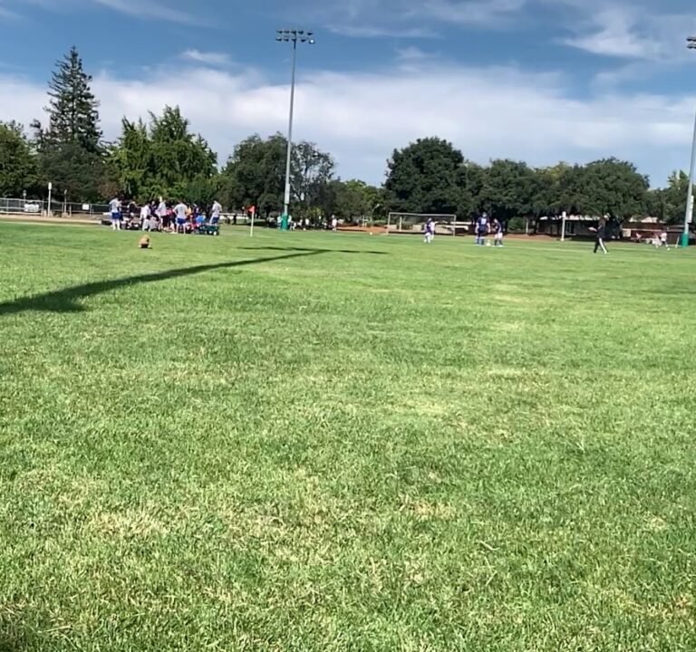 Soccer Field image 4