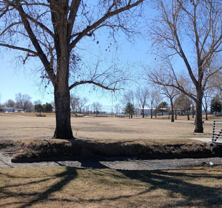 Soccer Field image 3