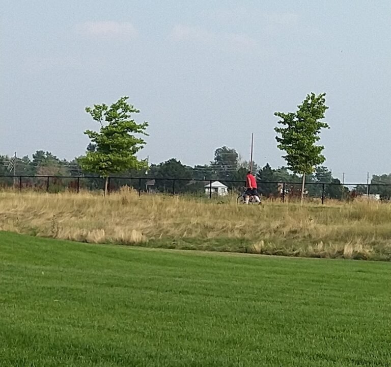 Soccer Field image 2