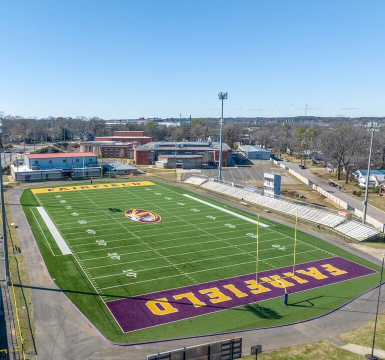 Soccer Field image 2