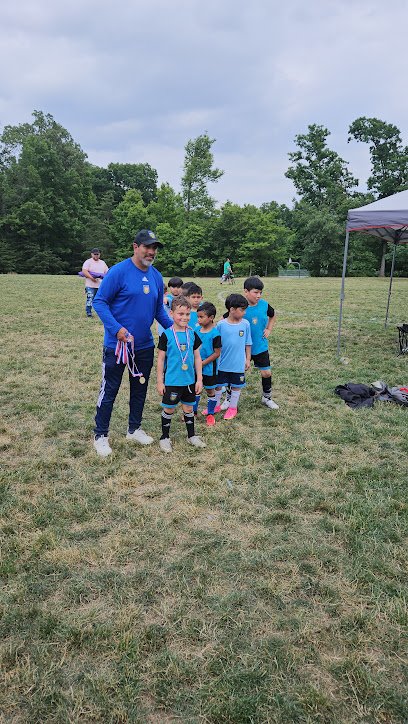 Soccer Field image 1