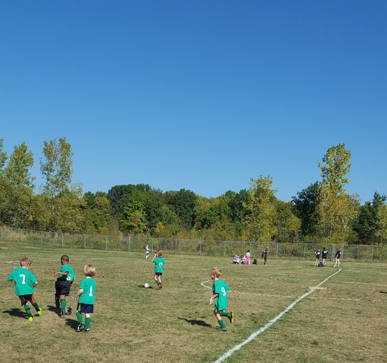 Soccer Field image 2