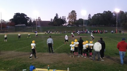 Soccer Field image 1