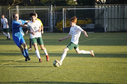 Soccer Field image 1