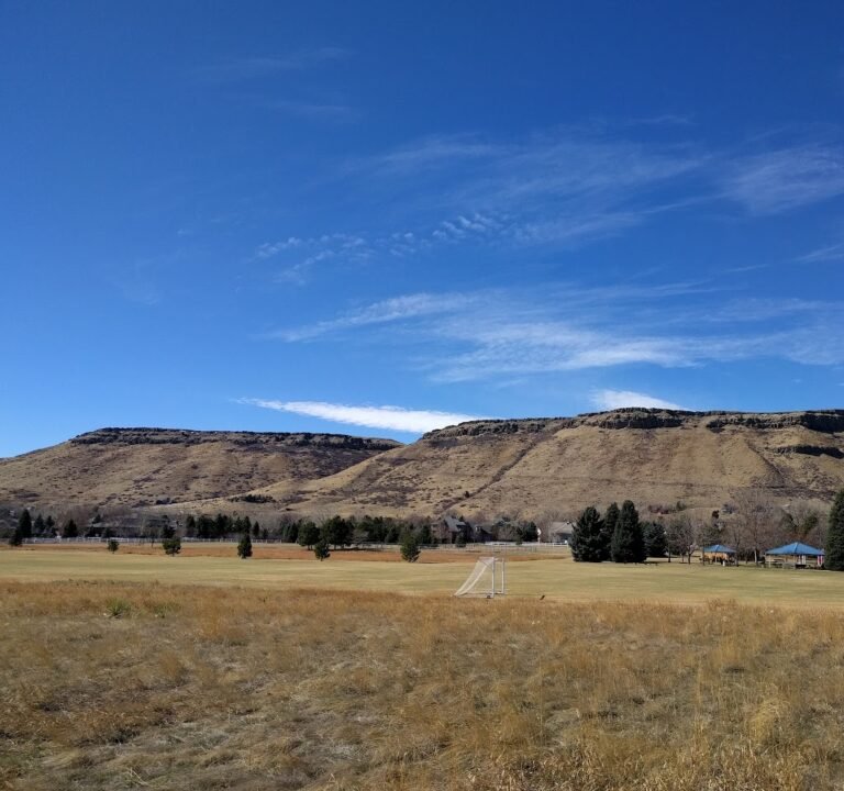 Soccer Field image 4