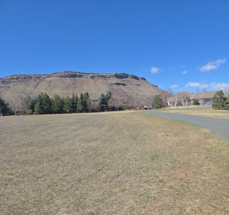Soccer Field image 3