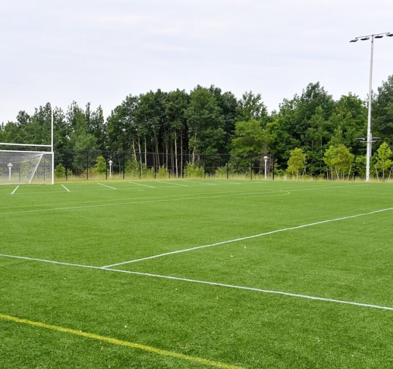 Soccer Field image 2