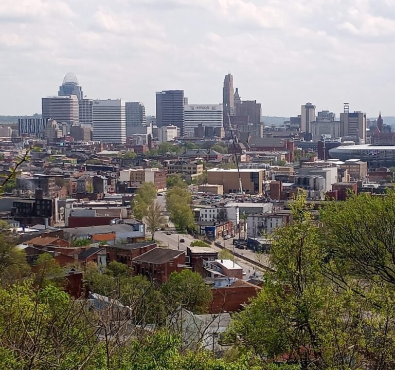 Soccer Field image 2