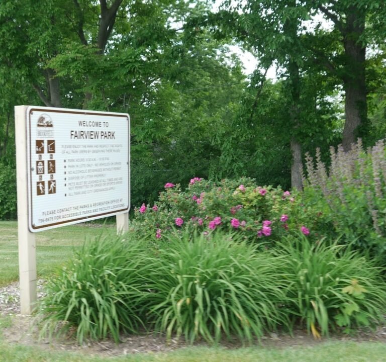 Soccer Field image 3