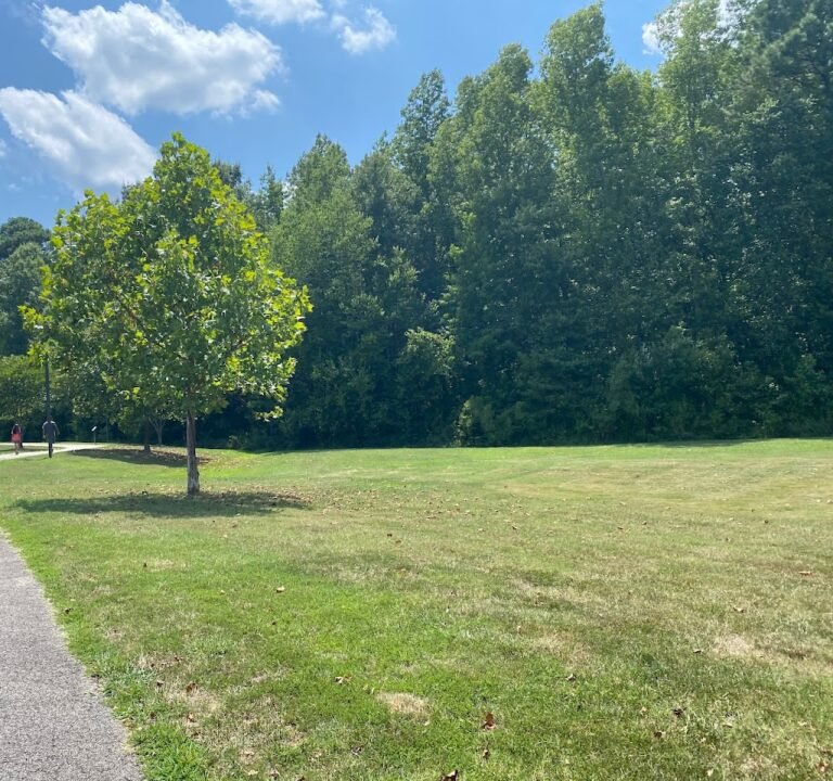 Soccer Field image 2