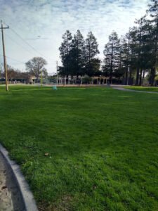 Soccer Field image 1