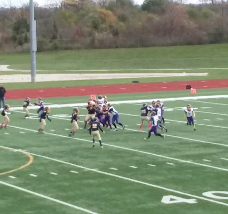 Soccer Field image 3