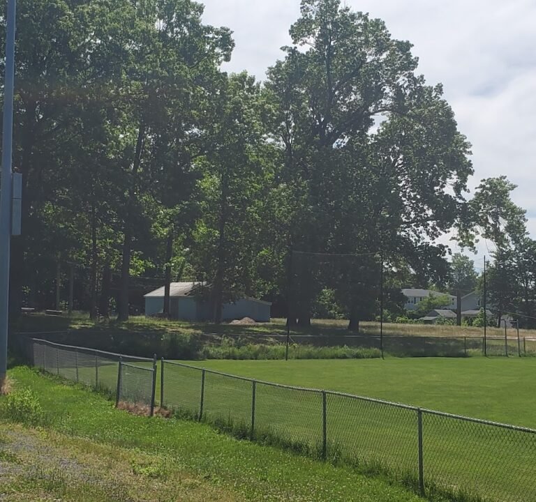 Soccer Field image 2