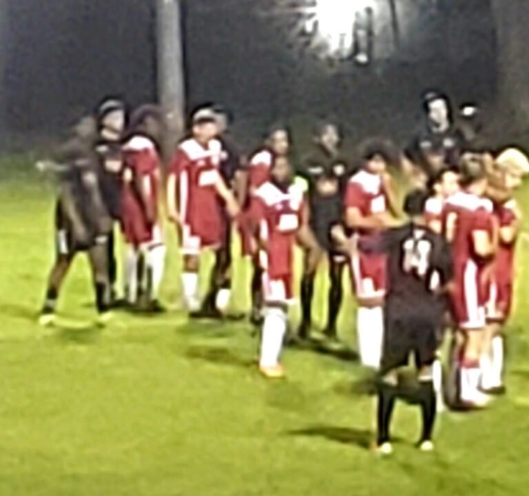 Soccer Field image 3