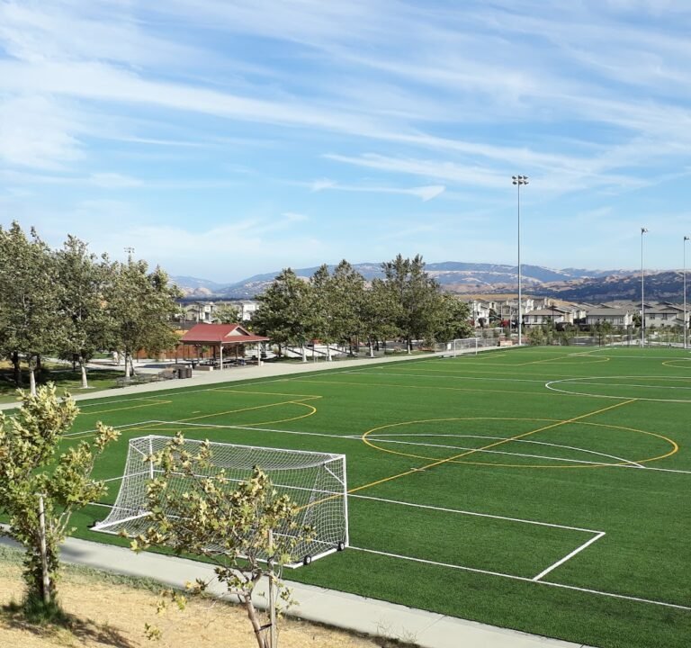 Soccer Field image 2