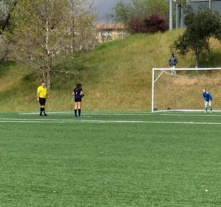 Soccer Field image 4