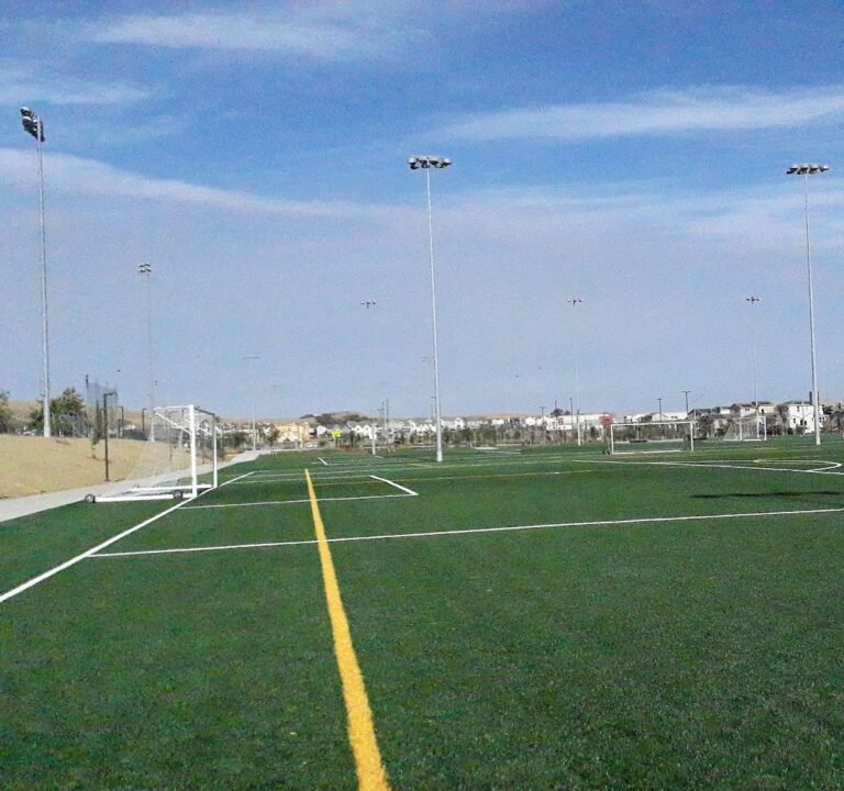 Soccer Field image 3