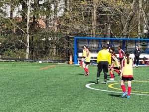 Soccer Field image 1