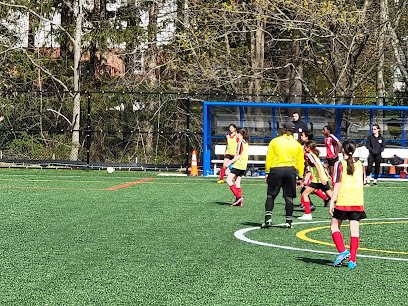 Soccer Field image 1