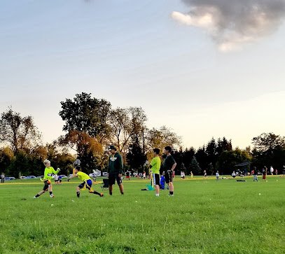 Soccer Field image 1