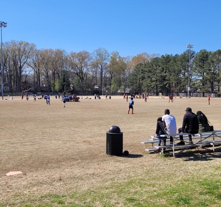 Soccer Field image 2