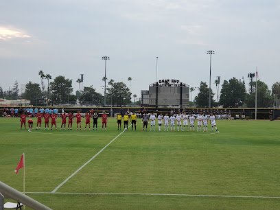 Soccer Field image 1