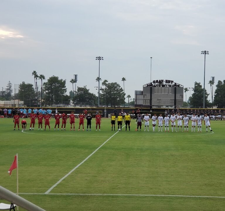 Soccer Field image 3