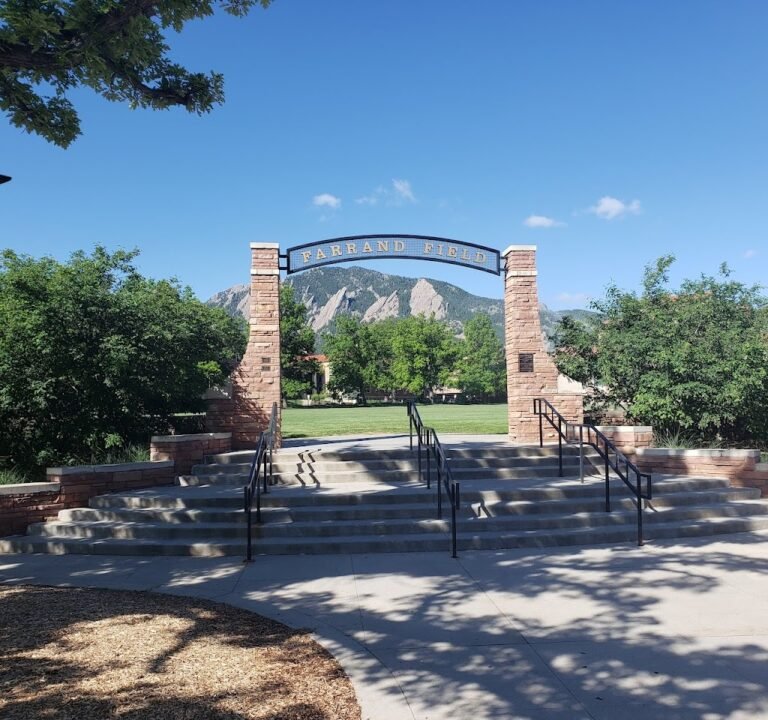 Soccer Field image 2