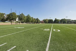 Soccer Field image 1