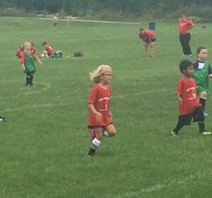 Soccer Field image 3