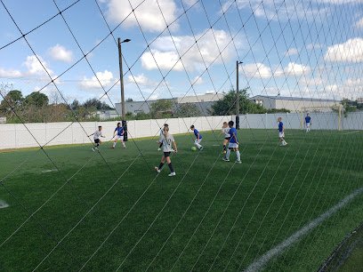 Soccer Field image 1